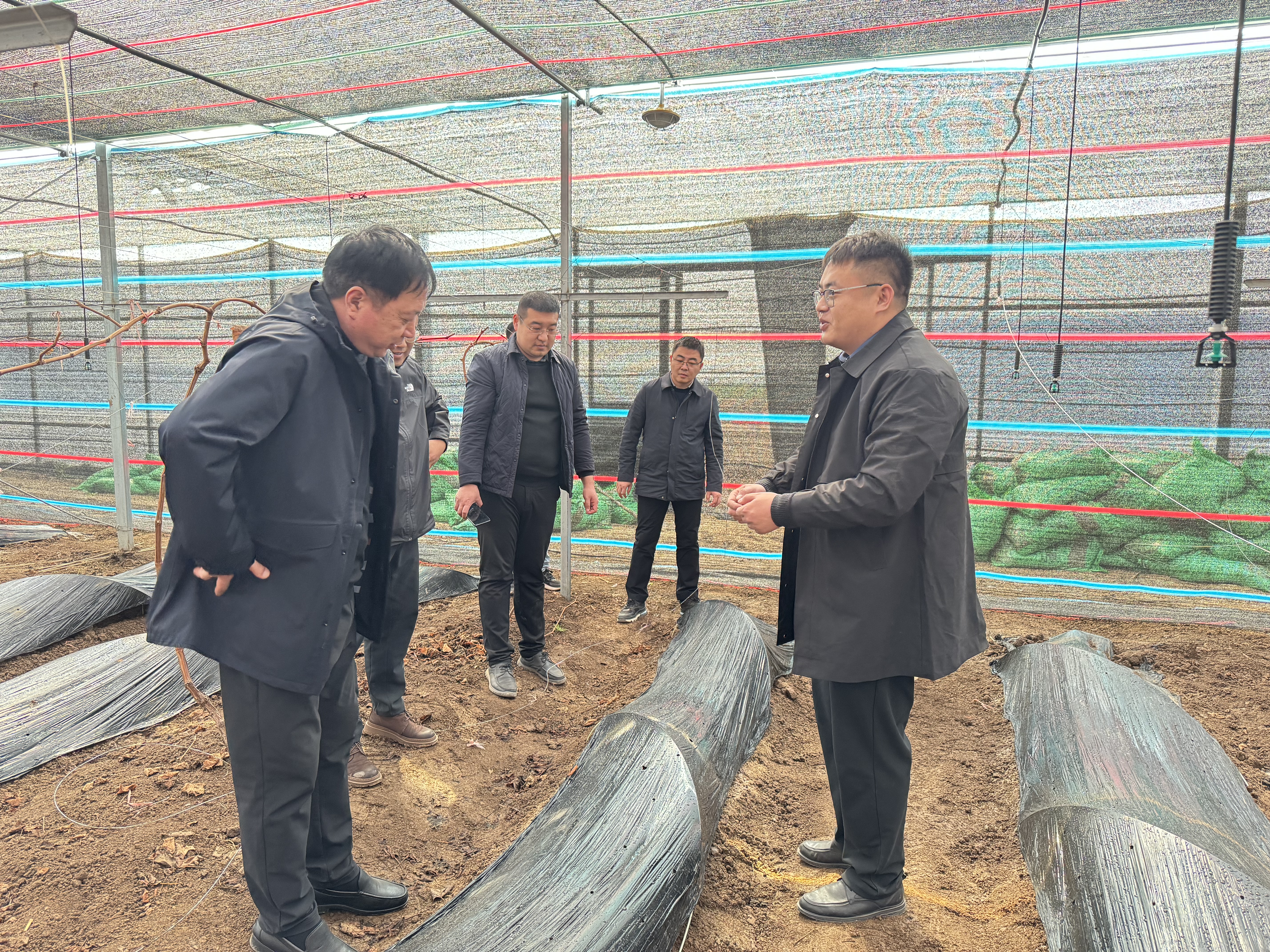 農(nóng)發(fā).jpg 農(nóng)發(fā).jpg