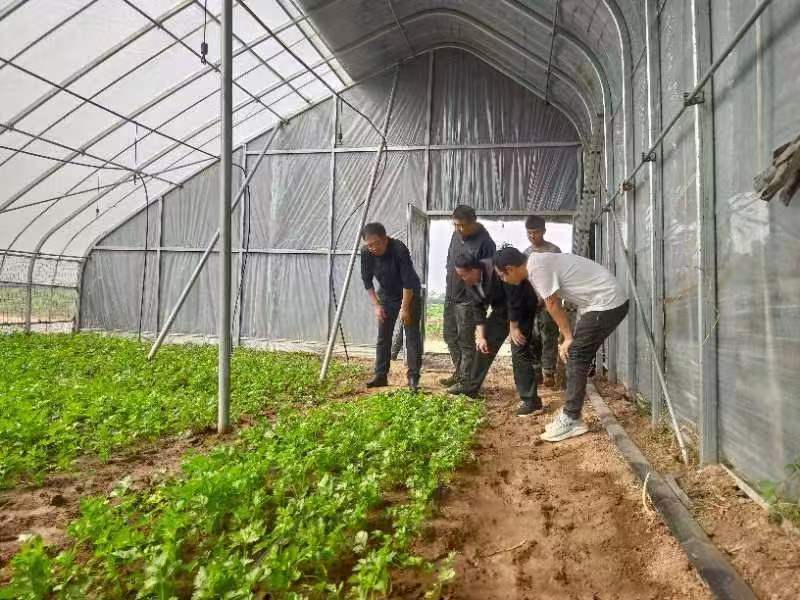 微信圖片_20241114163739.jpg 微信圖片_20241114163739.jpg